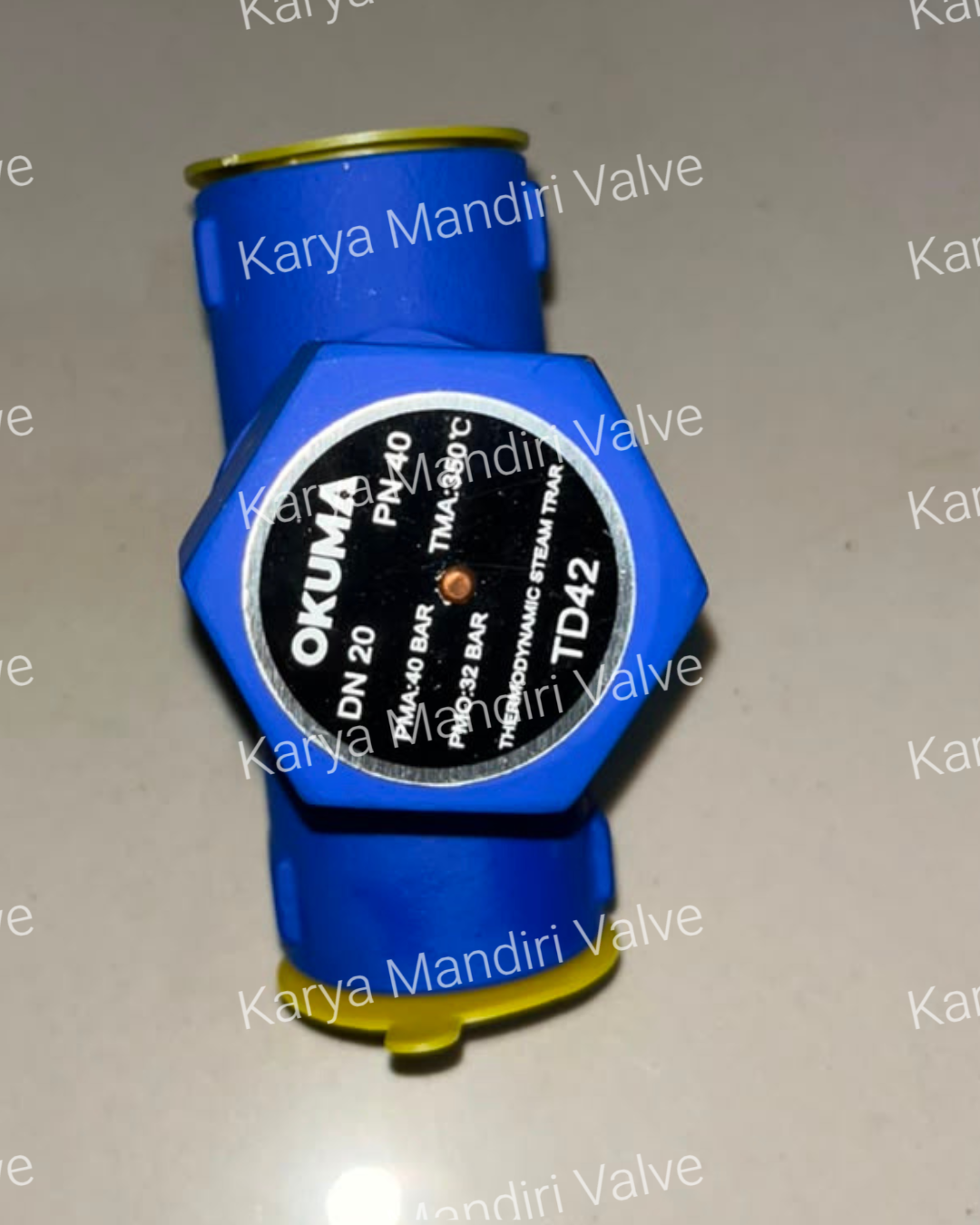 Float Type Steam Trap